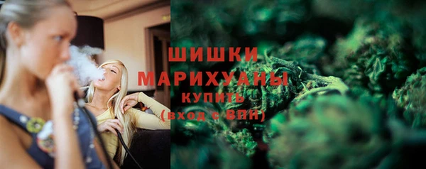 2c-b Мегион