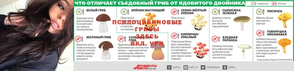 2c-b Мегион