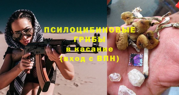 СК Медвежьегорск