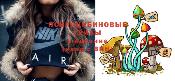 2c-b Мегион