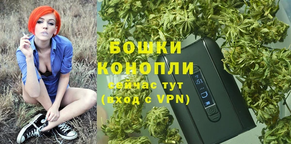 СК Медвежьегорск