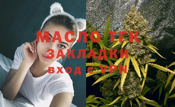 СК Медвежьегорск