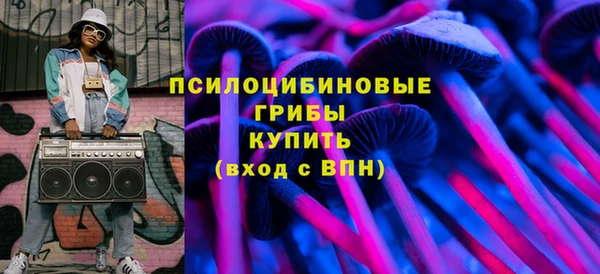 СК Медвежьегорск