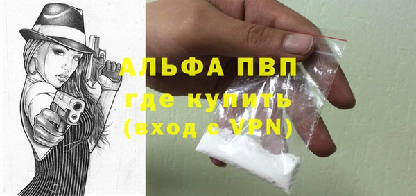 СК Медвежьегорск